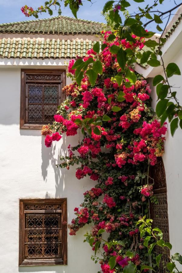 Riad Alma Marrakesh Luaran gambar