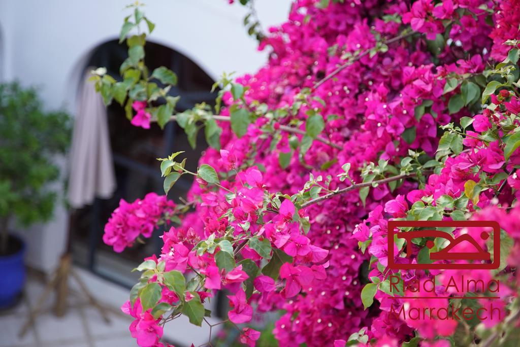 Riad Alma Marrakesh Luaran gambar