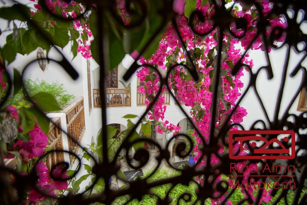 Riad Alma Marrakesh Luaran gambar
